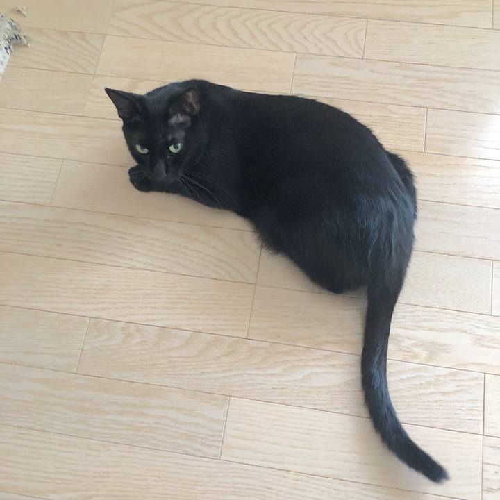 6e2e5741 93fd 41f9 8727 768ab3406de9 1534571224459