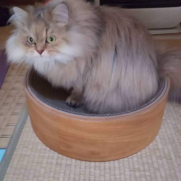 6e2e7237 a241 4284 987a 6640856de097 1606784355682