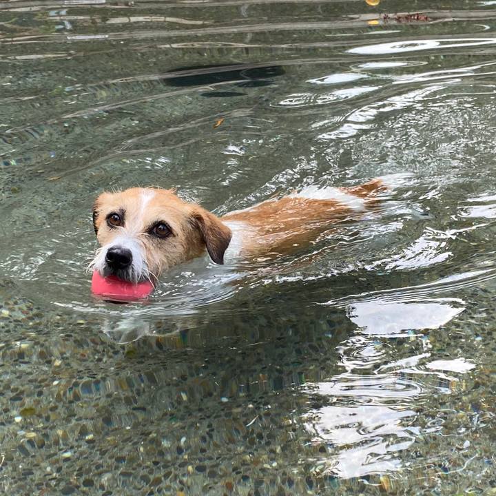 6e2e7f57 a527 435d 9058 471c19fbf0fb 1597811625399