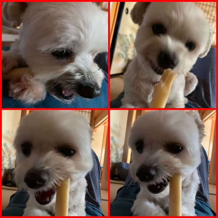 6e2ec172 3ecd 4be1 860c b7858039da0f 1596258197907