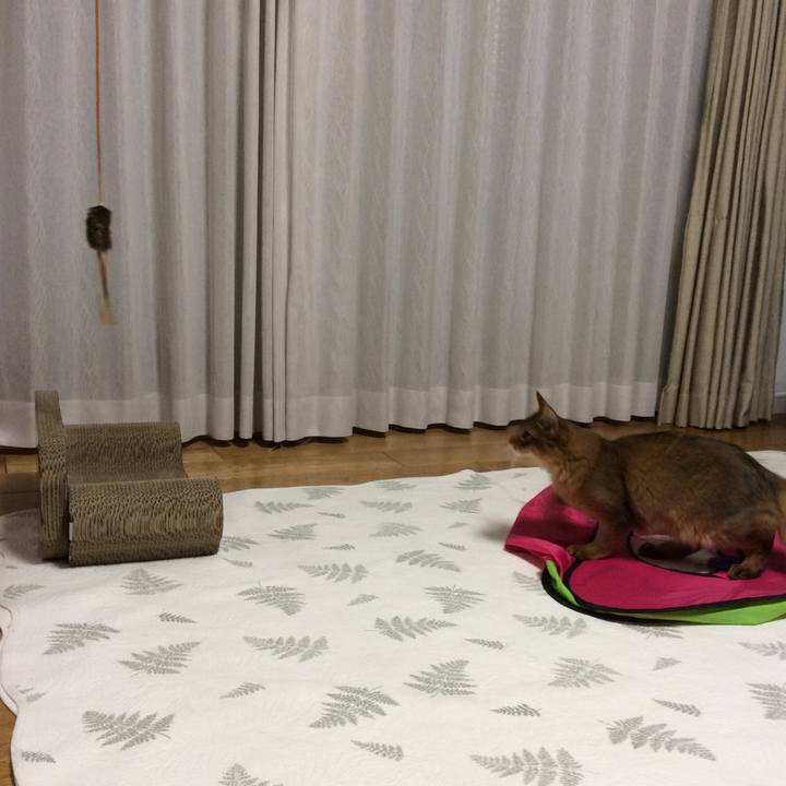 6e2ef72a ff01 4b39 b175 258766809f71 1575794771813