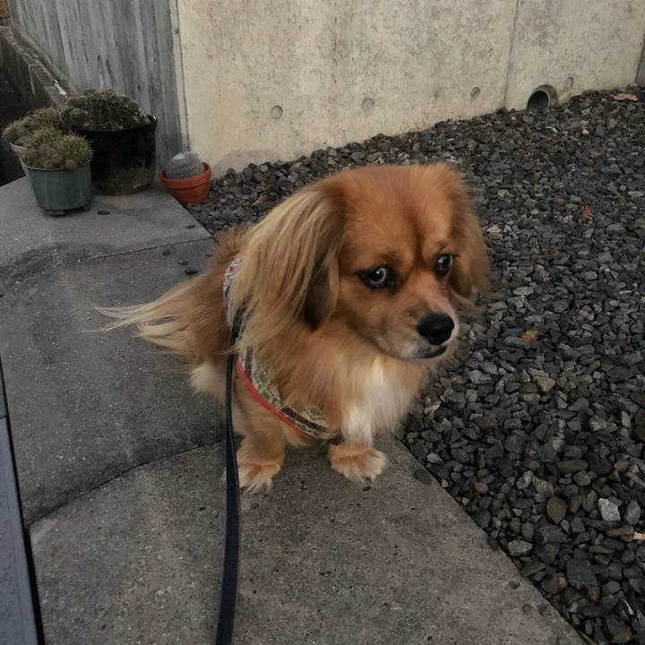 6e2ef8d8 d87d 43f7 9971 7eaa4b8c2b97 1543527304559