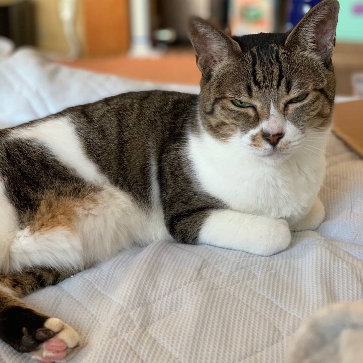 6e2f16e9 7610 482f 8c3e a79e195f51fd 1538874308027