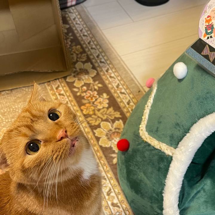 6e2f58fe 959a 48d2 8ac9 28289efa30e0 1608980195084