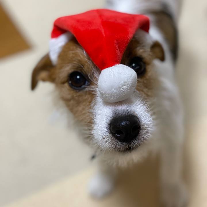 6e2f88f3 41d1 4c5d b158 e514979ffd13 1640393198289