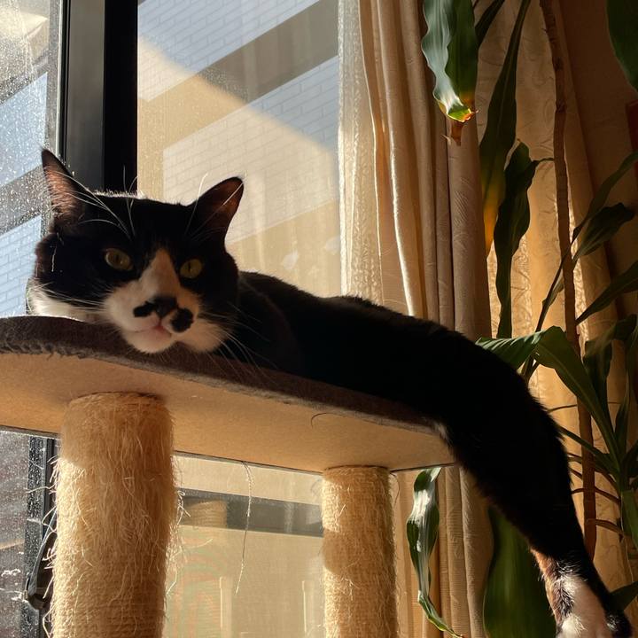 6e2fb621 ff78 4ad9 9d2f 4a3ca494da3d 1737676785125