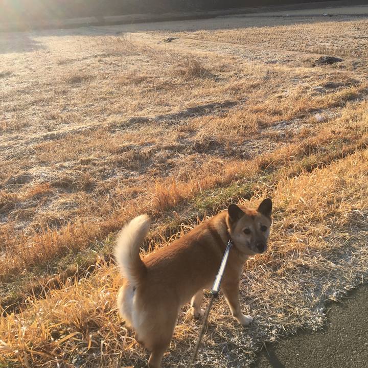 6e2fda54 d8f1 40e0 a37b 497e8180c733 1517647216824