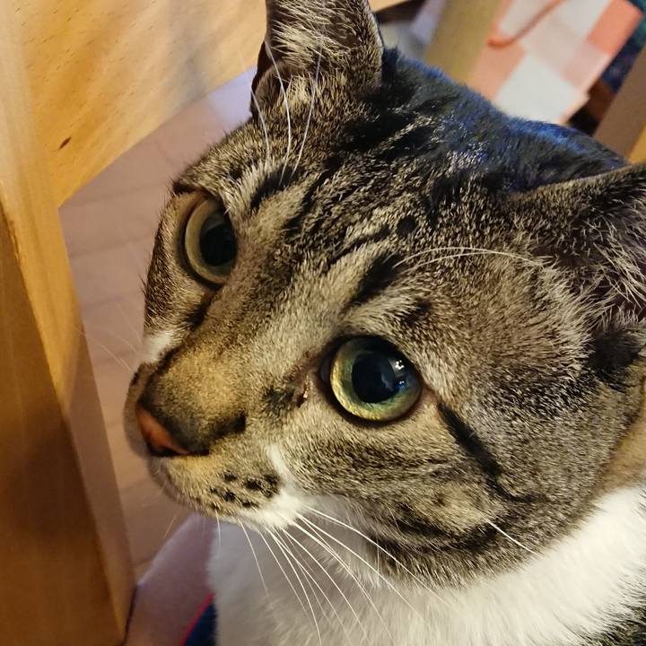 6e30077e 4afa 4286 8b56 0701d82d655c 1520642535119