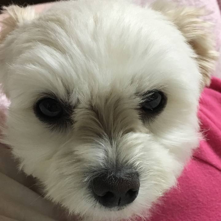 6e304103 3c60 4f0b ac6a 9b34adbb93ea 1510662016864