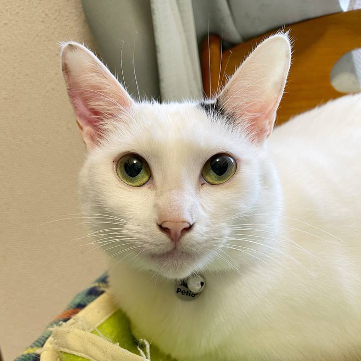 6e305bda 9cca 4c3b 9dcb 0d31bb886000 1766703149249