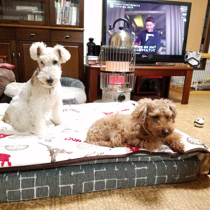 6e305d5a 5ed2 431b b070 cecffc0d3895 1550675053402