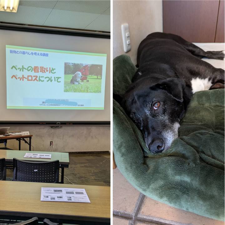 6e30805d 7916 4850 b632 b39a547319e8 1751177878960