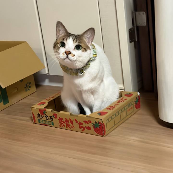 6e30a6c3 0a64 4262 a580 1915afb9c78a 1774824336774