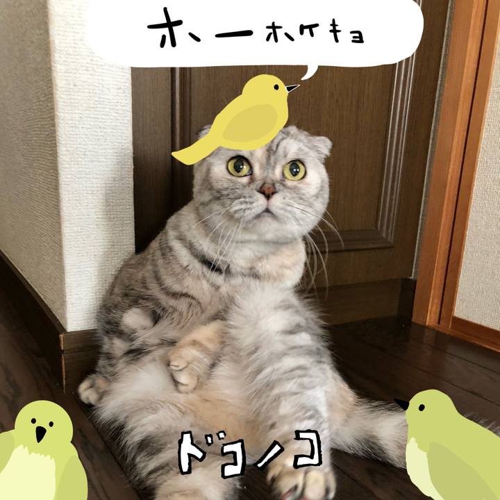 6e30f466 7208 4175 861a 6ddb5c3dc82c 1711108296085