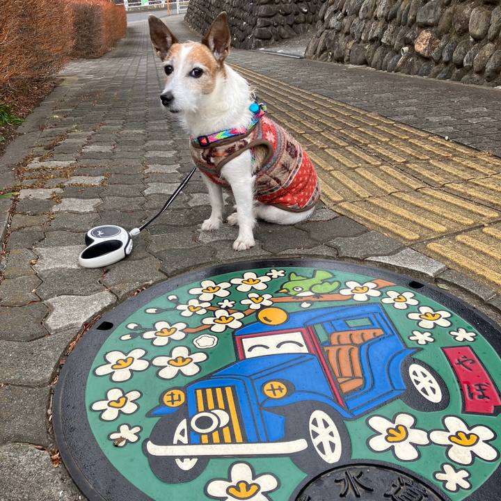 6e310614 31a0 459a 9a6c 5028be3729ef 1705797901499