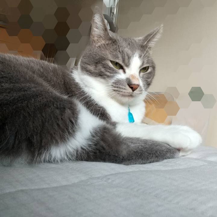 6e3157a7 d52e 4bfb b90e 5eabbcdcf9c8 1634168709418