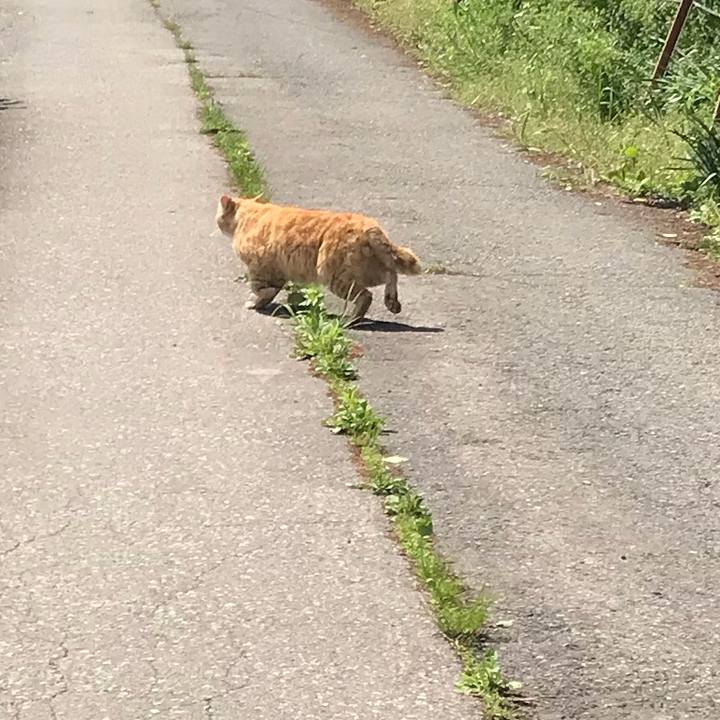 6e31601e 56ac 46ba aa74 428ba3ea0d41 1526002450762