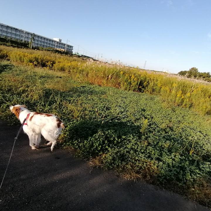 6e3169b9 ec4c 4604 ae34 ce0981222468 1572237922331