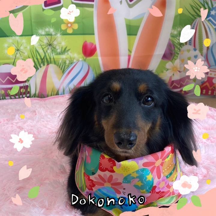 6e317cfe 108d 499d 9ba9 2acb3a8ad41a 1711270165762