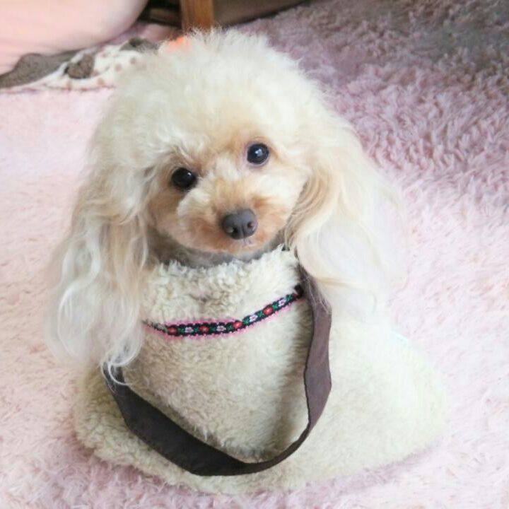 6e318fac a75f 4c96 aea4 57d38a128d7b 1539345428795