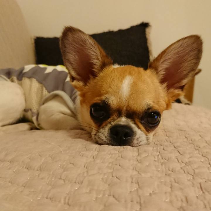 6e31a1c2 bf73 47df 9273 d5ec0087d362 1559032267029