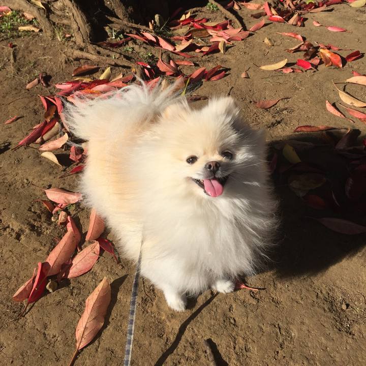 6e31c693 90d5 4dc4 8041 3cdba3f1c522 1604980951464