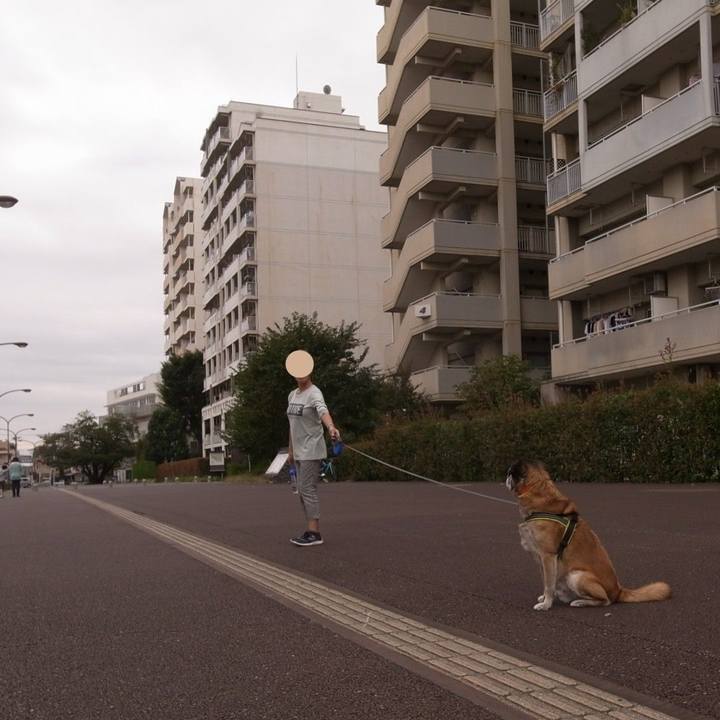 6e31c94d f288 4695 8ee1 ab4ae3e8f059 1590800080047