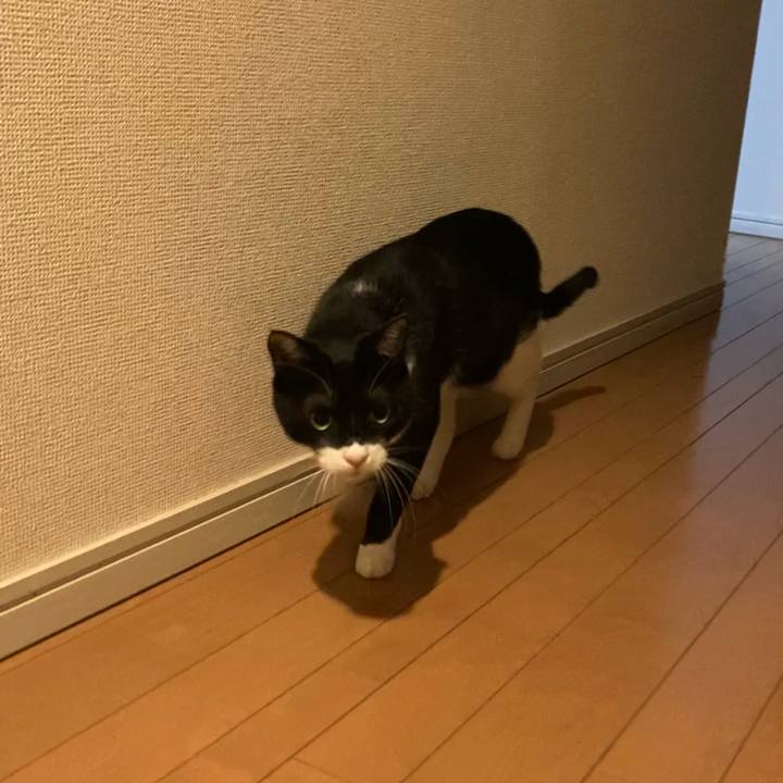 6e31cc96 0529 4d09 b593 32118904a772 1617805393608