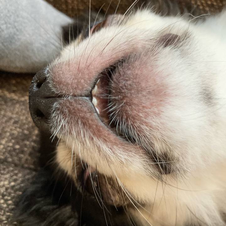 6e31df29 c7d9 4c61 a8cd 24a7484c5085 1719679353189