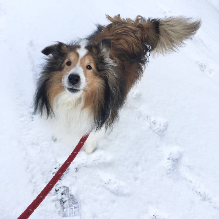 6e3207b1 d01d 4359 a9e1 855e4c19e56d 1609753548266