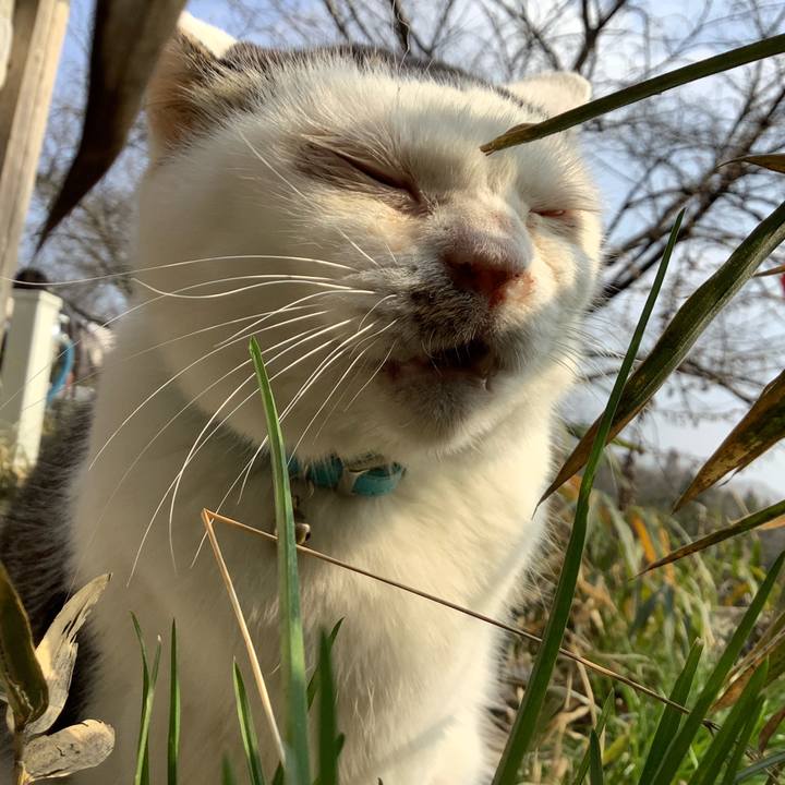 6e32d3e0 48e3 47d6 994a ae02d42bcf0f 1612678305177