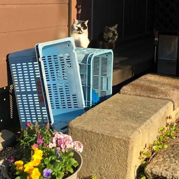 6e32e3ef f1b2 436d be9c 6f66776a1f77 1643873610016