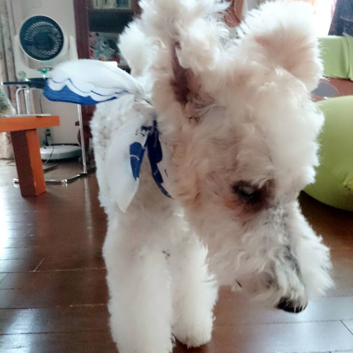 6e331a2f 3216 4f8e 9e25 6b38b5428599 1531300084632