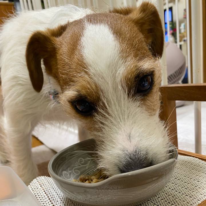 6e331adb c095 4010 a688 cc2e0e057253 1738496585692