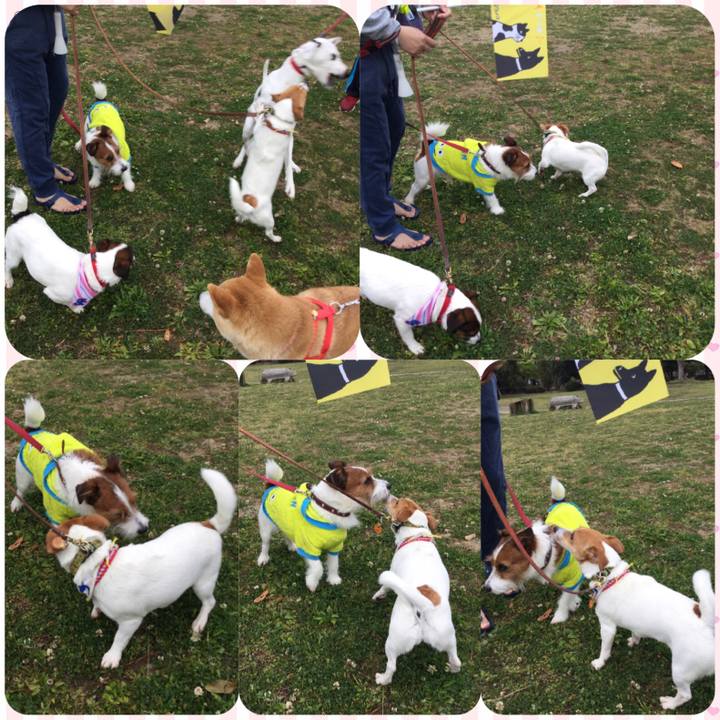 6e333633 0cd7 4d91 8814 e35aabe3269d 1555453629176