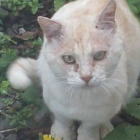 6e333f9a 03c9 4fa5 8e32 ece1727ce957 1694397017748