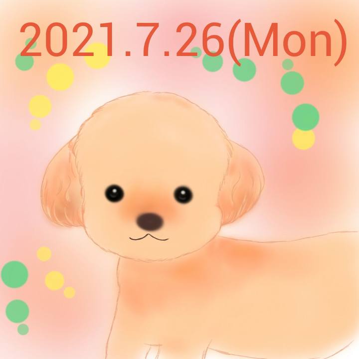 6e33527c 8028 4776 95d1 998c379275f9 1627299332115