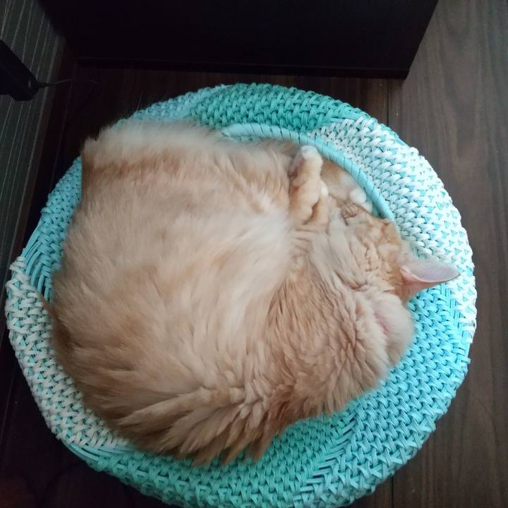 6e335fef 797a 44ac b890 e21d1a697c06 1627255580553