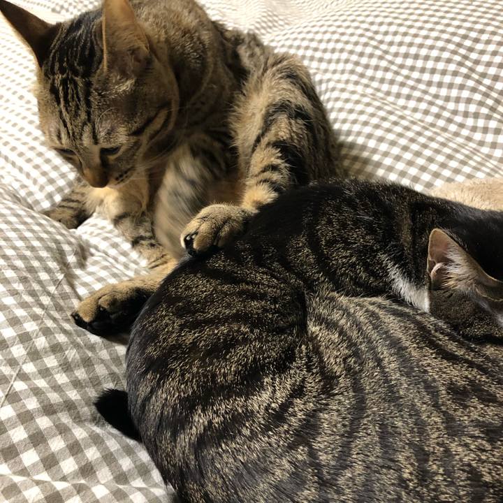 6e339569 38cb 4959 8c9f 83dd5f58c2a3 1519397563723