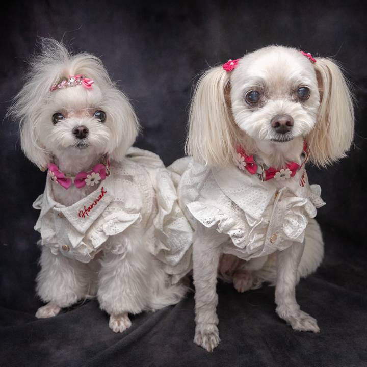 6e33c8b8 fa72 4bf8 b72c 9b00743ef878 1754297065590