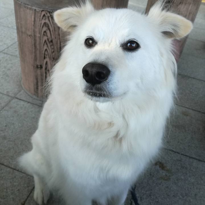 6e33d85a b0a3 4f4c 8f7a a2b121c13d22 1521792381075