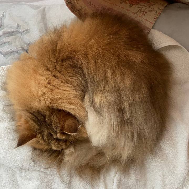 6e33f352 aff1 47c5 8dde b751f41e2d37 1629003863119