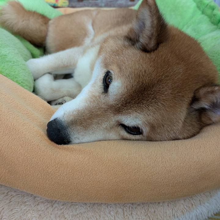 6e34104b f0c8 46c7 9e3b 8a164c0e60de 1751683908519