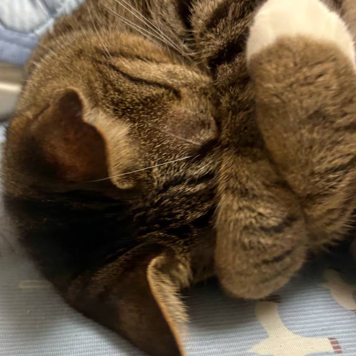 6e3424dd f465 4b5f 90f0 7d81bb258233 1786057613188