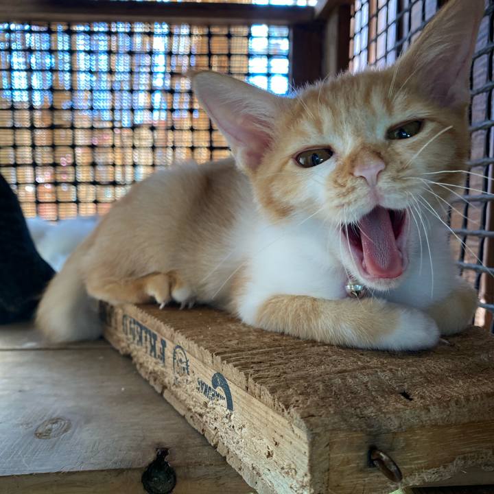 6e344b5d 46f5 4371 ae32 bdb195d44ff1 1632874219007