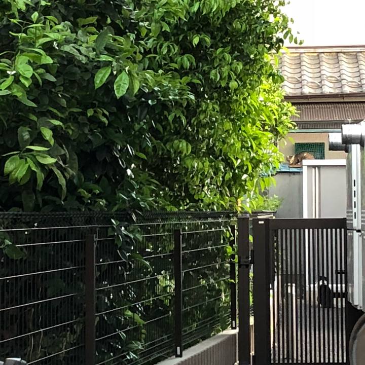 6e345b25 6c0f 441c bff8 9b67ebe73dc5 1525548880343