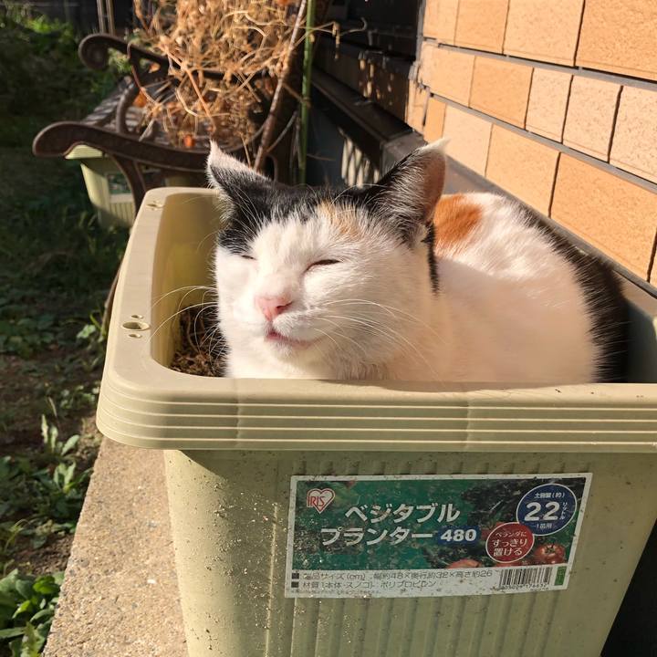 6e349f3f cfc1 4257 878f 4ca11f445cbb 1604016795703