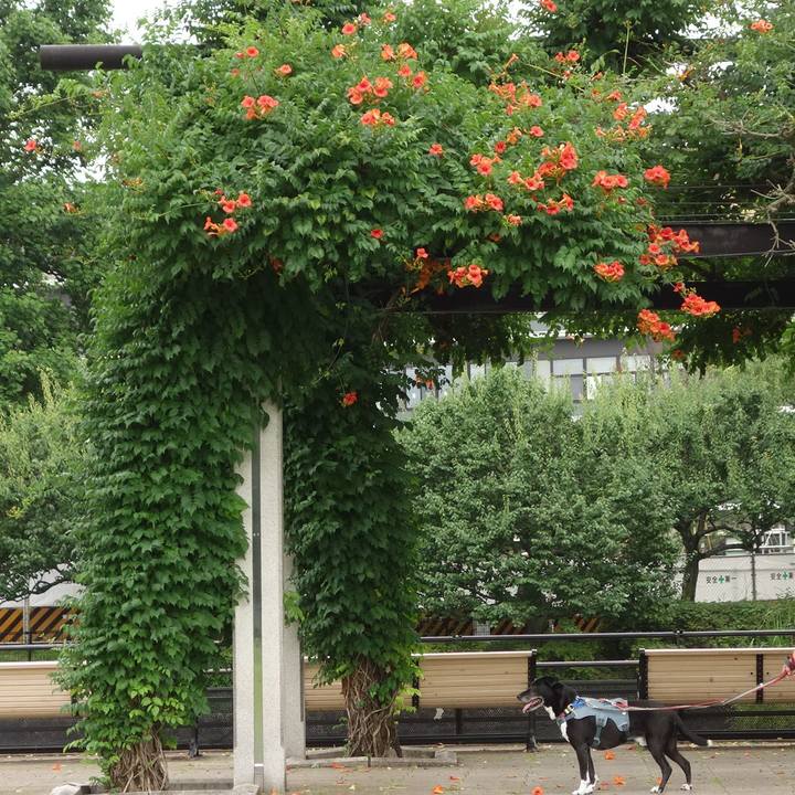 6e34c089 069d 4222 95e0 6fa36f650528 1719361854413