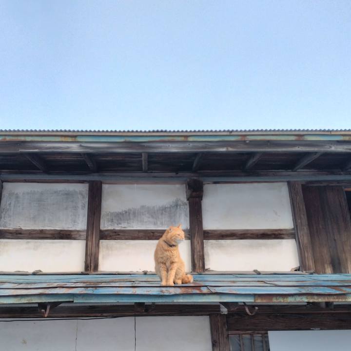 6e34c3a9 386f 45c2 9126 d61aee6f7e77 1675816760959