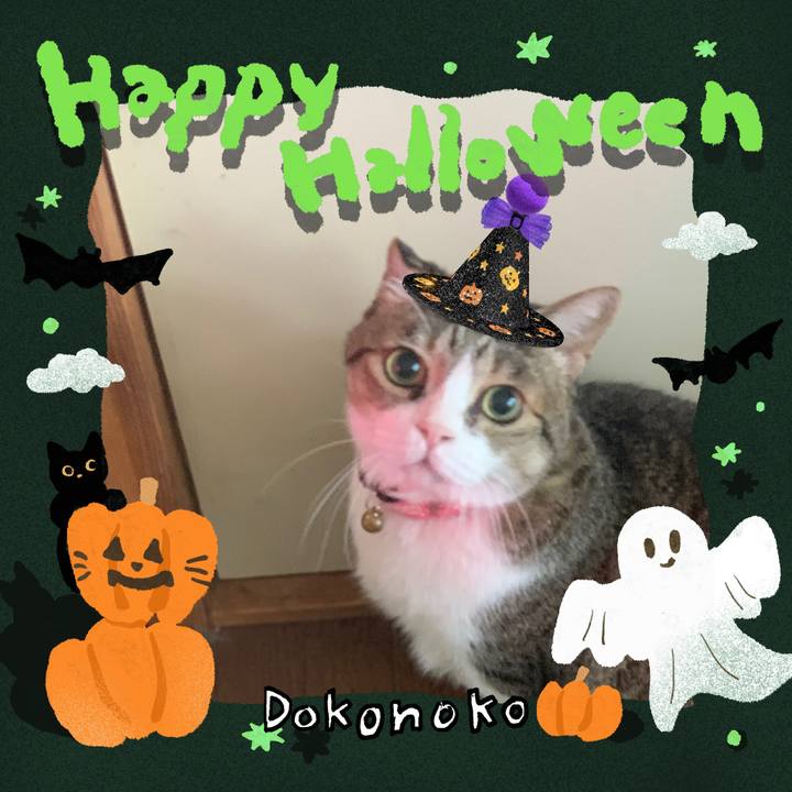 6e34dd88 3e87 4502 8980 20ae3ce2cba6 1730375047629